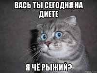 вась ты сегодня на диете я чё рыжий?