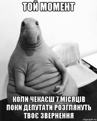 той момент коли чекаєш 7 місяців поки депутати розглянуть твоє звернення