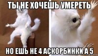 ты не хочешь умереть но ешь не 4 аскорбинки а 5