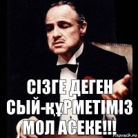 Сізге деген сый-құрметіміз мол Асеке!!!