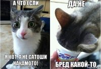 Я кот, а не Сатоши Накамото!