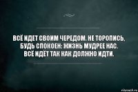 Всё идет своим чередом. Не торопись, будь спокоен: жизнь мудрее нас.
Всё идёт так как должно идти.