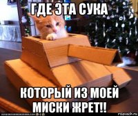 где эта сука который из моей миски жрет!!