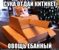 сука отдай китикет овощь ебанный