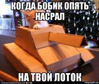 когда бобик опять насрал на твой лоток