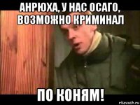 анрюха, у нас осаго, возможно криминал по коням!