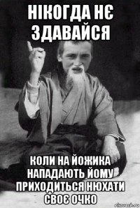 нікогда нє здавайся коли на йожика нападають йому приходиться нюхати своє очко