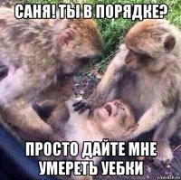 саня! ты в порядке? просто дайте мне умереть уебки