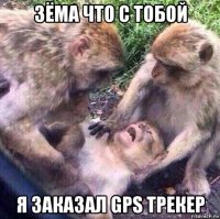 зёма что с тобой я заказал gps трекер