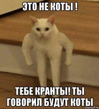 это не коты ! тебе кранты! ты говорил будут коты