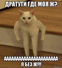 дратути где моя ж? аааааааааааааааааааааа я без ж!!!