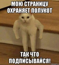 мою страницу охраняет полукот так что подписывайся!