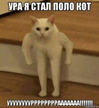 ура я стал поло кот ууууууууррррррррааааааа!!!!!!!