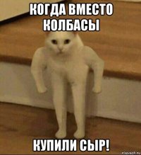 когда вместо колбасы купили сыр!