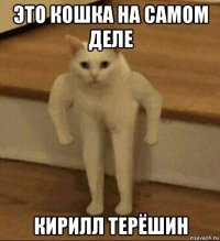 это кошка на самом деле кирилл терёшин