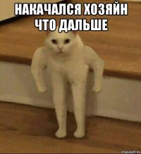 накачался хозяйн что дальше 