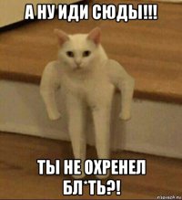 а ну иди сюды!!! ты не охренел бл*ть?!