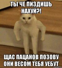 ты че пиздишь нахуй?! щас пацанов позову они весом тебя уебут