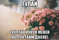 гулай туулган кунун менен куттуктайм доске!