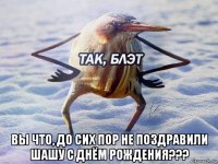  вы что, до сих пор не поздравили шашу с днём рождения???