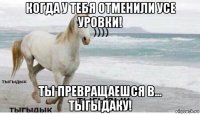 когда у тебя отменили усе уровки! ты превращаешся в... тыгыдаку!