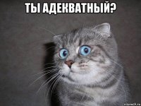 ты адекватный? 