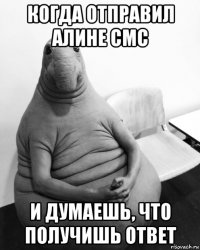 когда отправил алине смс и думаешь, что получишь ответ