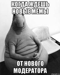 когда ждешь новые мемы от нового модератора