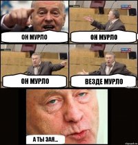 он мурло он мурло он мурло везде мурло а ты зая...