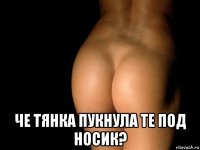  че тянка пукнула те под носик?