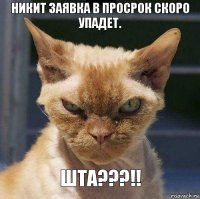 Никит заявка в просрок скоро упадет. Шта???!!