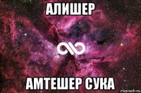 алишер амтешер сука