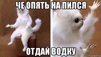 че опять на пился отдай водку