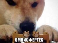  омнисфертес