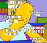 ну почему почему ну почему я гомер почему я не платон мне так стыдно что я тупой почему я симпсон почему я не платон