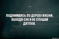 Поднимаясь по дереву жизни, обходи сук и не слушай дятлов.