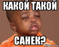 какой такой санек?