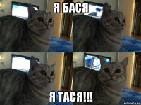 я бася я тася!!!