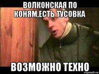 волконская по коням,есть тусовка возможно техно