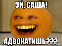 эй, саша! адвокатишь???