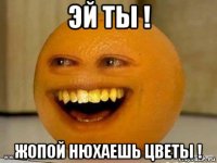 эй ты ! жопой нюхаешь цветы !