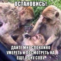 остановись! дайте мне спокойно умереть и посмотреть на еще одну сову