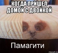 когда пришел домой с двойкой 