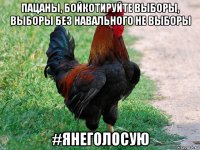 пацаны, бойкотируйте выборы, выборы без навального не выборы #янеголосую