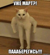 уже март?! паааберегись!!!