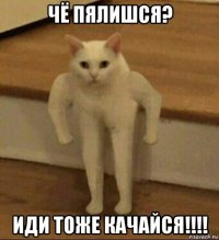 чё пялишся? иди тоже качайся!!!!