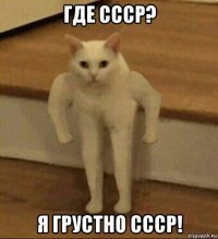 где ссср? я грустно ссср!