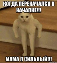 когда перекачался в качалке!!! мама я сильный!!!