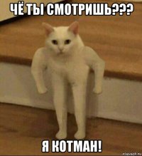 чё ты смотришь??? я котман!