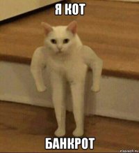 я кот банкрот